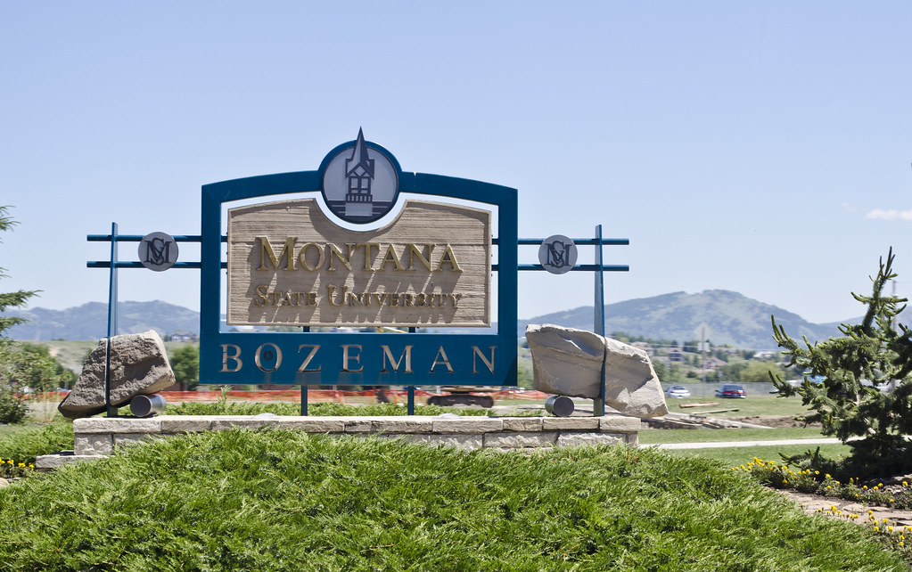 Montana State University Sign